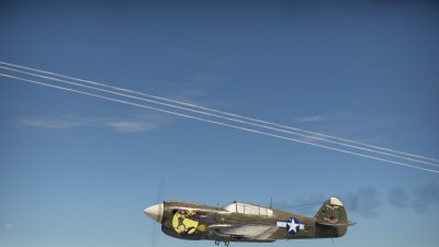 47.jpg