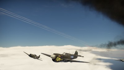 48.jpg