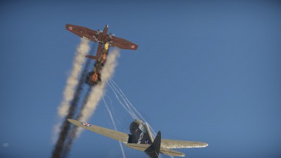 63.jpg
