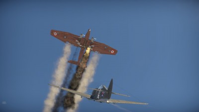 64.jpg