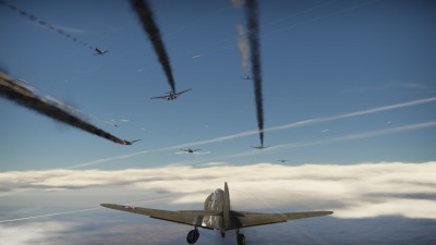 74.jpg