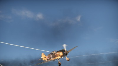 78.jpg