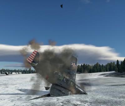 44 W śniegu.jpg