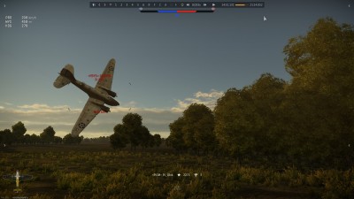 31.jpg