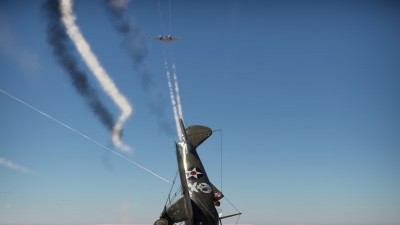 40.jpg