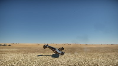 46.jpg
