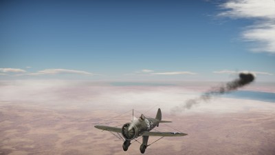 79.jpg